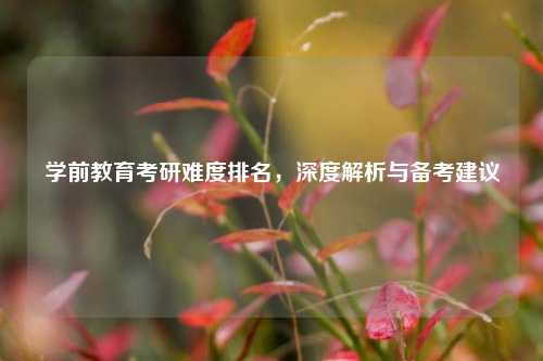 学前教育考研难度排名，深度解析与备考建议