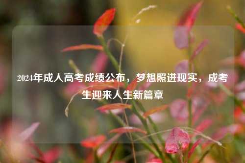 2024年成人高考成绩公布，梦想照进现实，成考生迎来人生新篇章