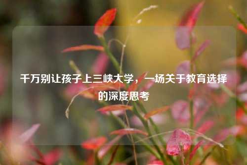 千万别让孩子上三峡大学，一场关于教育选择的深度思考