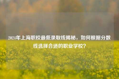 2024年上海职校最低录取线揭秘，如何根据分数线选择合适的职业学校？