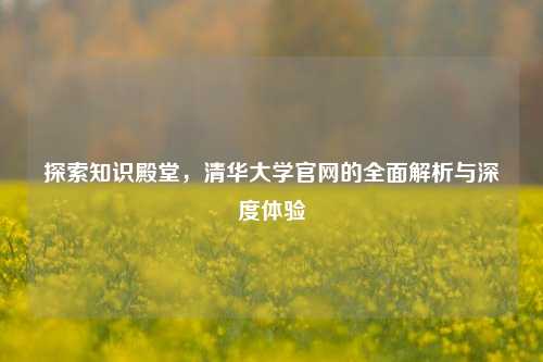 探索知识殿堂，清华大学官网的全面解析与深度体验