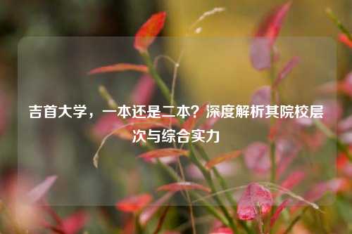 吉首大学，一本还是二本？深度解析其院校层次与综合实力