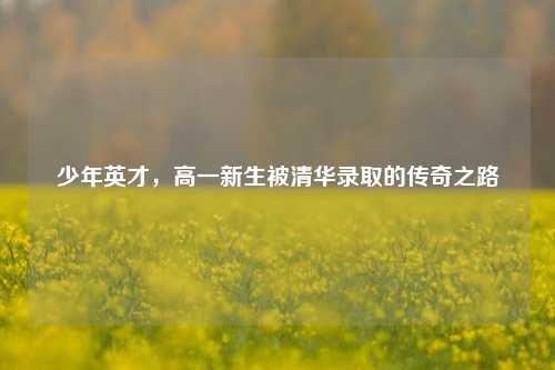 少年英才，高一新生被清华录取的传奇之路