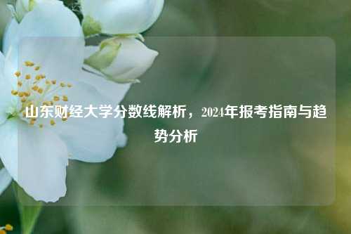 山东财经大学分数线解析，2024年报考指南与趋势分析
