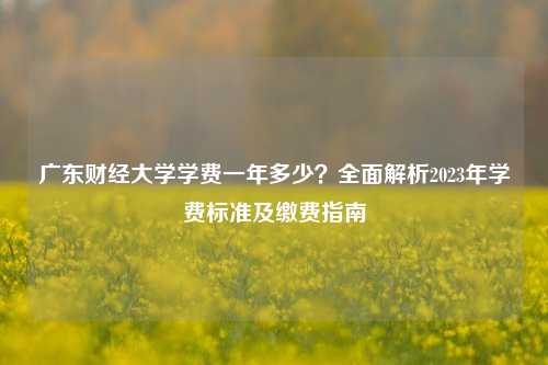 广东财经大学学费一年多少？全面解析2023年学费标准及缴费指南