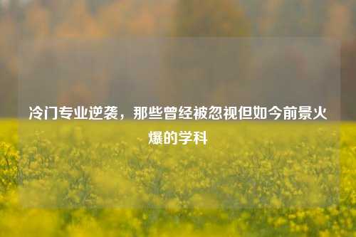 冷门专业逆袭，那些曾经被忽视但如今前景火爆的学科