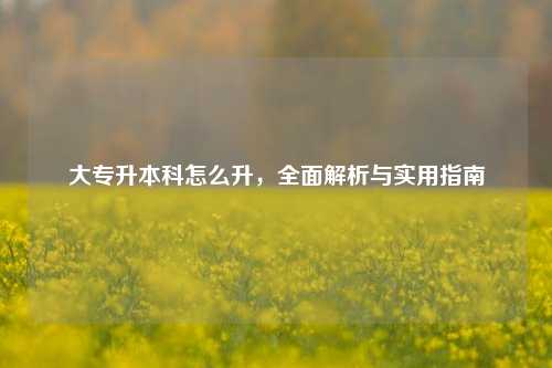 大专升本科怎么升，全面解析与实用指南