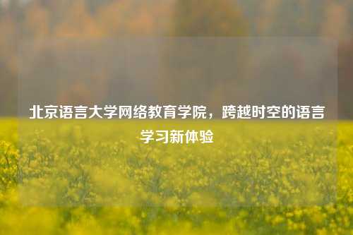 北京语言大学网络教育学院，跨越时空的语言学习新体验