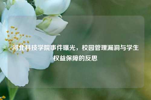 河北科技学院事件曝光，校园管理漏洞与学生权益保障的反思