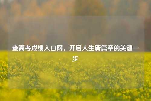 查高考成绩入口网，开启人生新篇章的关键一步