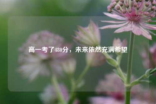 高一考了480分，未来依然充满希望