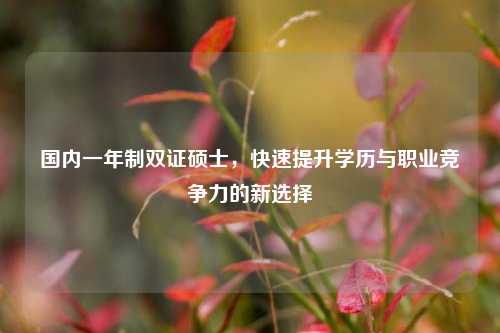 国内一年制双证硕士，快速提升学历与职业竞争力的新选择