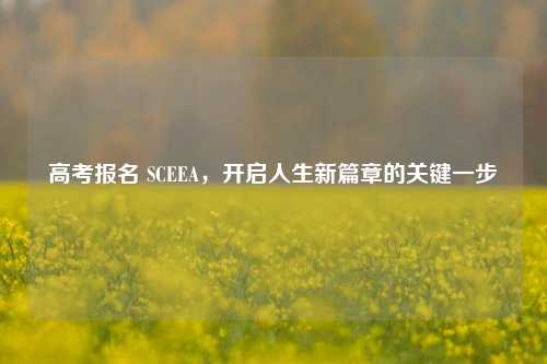 高考报名 SCEEA，开启人生新篇章的关键一步