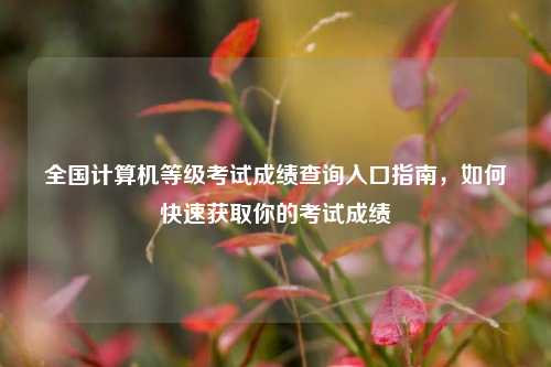 全国计算机等级考试成绩查询入口指南，如何快速获取你的考试成绩