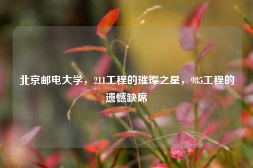 北京邮电大学，211工程的璀璨之星，985工程的遗憾缺席
