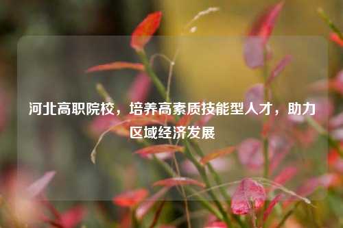 河北高职院校，培养高素质技能型人才，助力区域经济发展
