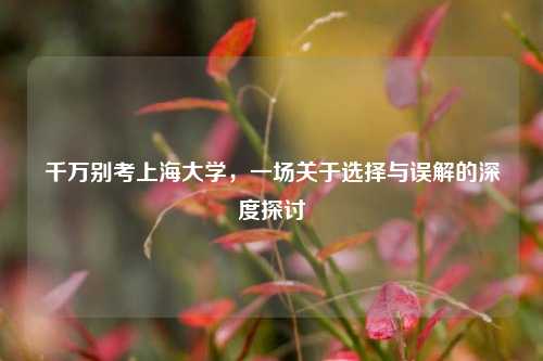 千万别考上海大学，一场关于选择与误解的深度探讨