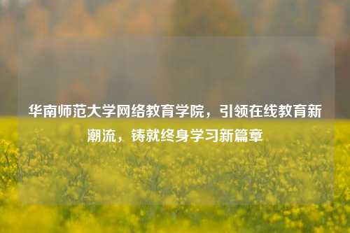 华南师范大学网络教育学院，引领在线教育新潮流，铸就终身学习新篇章