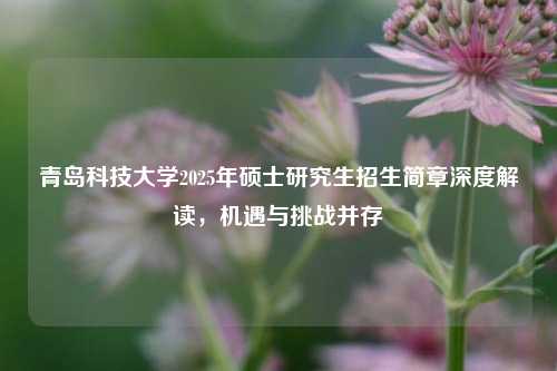 青岛科技大学2025年硕士研究生招生简章深度解读，机遇与挑战并存