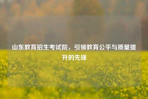 山东教育招生考试院，引领教育公平与质量提升的先锋