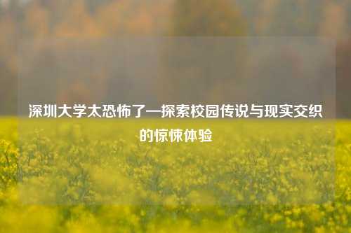 深圳大学太恐怖了—探索校园传说与现实交织的惊悚体验