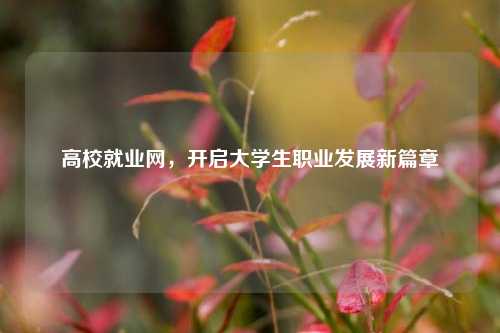 高校就业网，开启大学生职业发展新篇章