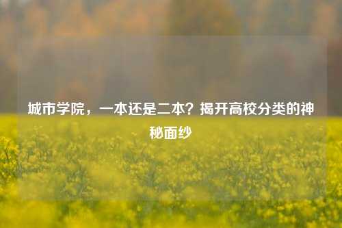 城市学院，一本还是二本？揭开高校分类的神秘面纱