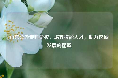 山东公办专科学校，培养技能人才，助力区域发展的摇篮