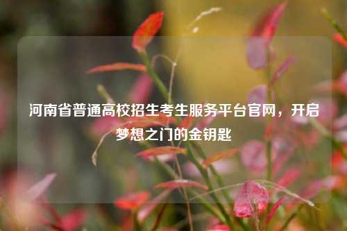河南省普通高校招生考生服务平台官网，开启梦想之门的金钥匙