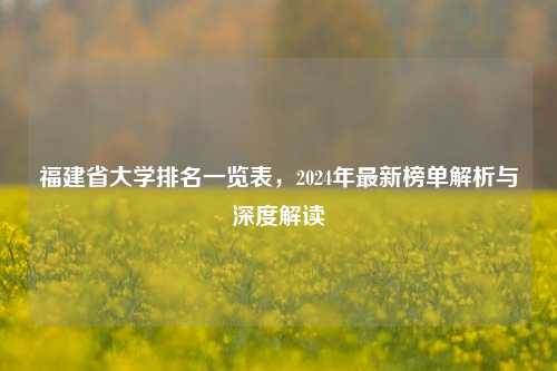 福建省大学排名一览表，2024年最新榜单解析与深度解读