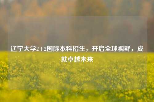 辽宁大学2+2国际本科招生，开启全球视野，成就卓越未来
