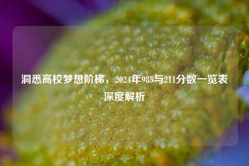 洞悉高校梦想阶梯，2024年985与211分数一览表深度解析
