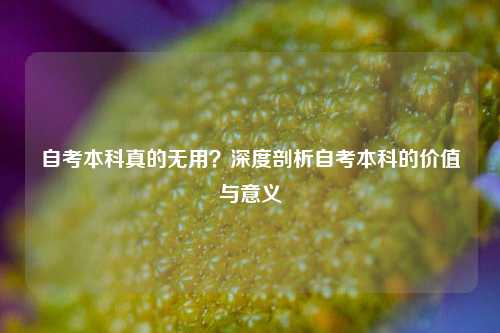 自考本科真的无用？深度剖析自考本科的价值与意义