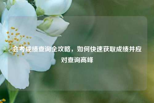 会考成绩查询全攻略，如何快速获取成绩并应对查询高峰