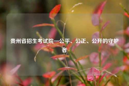 贵州省招生考试院—公平、公正、公开的守护者