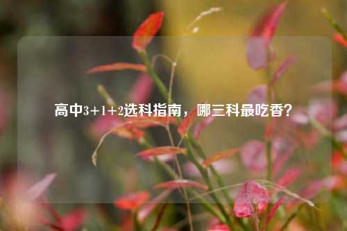 高中3+1+2选科指南，哪三科最吃香？
