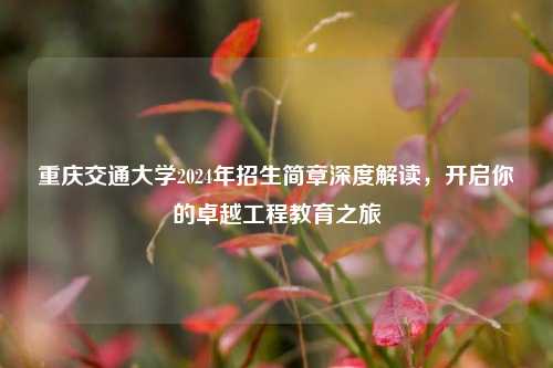 重庆交通大学2024年招生简章深度解读，开启你的卓越工程教育之旅