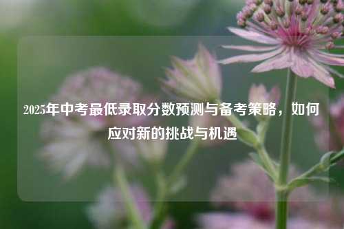 2025年中考最低录取分数预测与备考策略，如何应对新的挑战与机遇