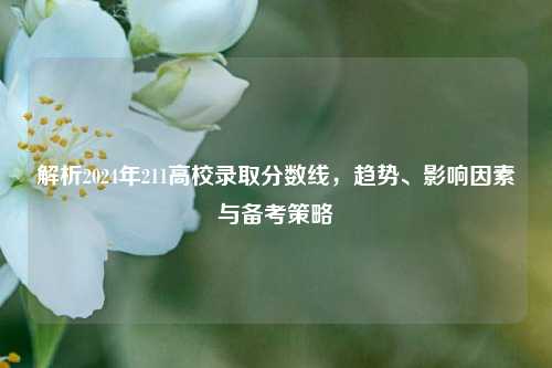 解析2024年211高校录取分数线，趋势、影响因素与备考策略