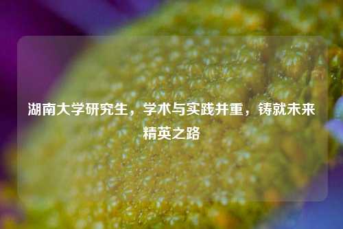 湖南大学研究生，学术与实践并重，铸就未来精英之路