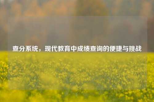 查分系统，现代教育中成绩查询的便捷与挑战