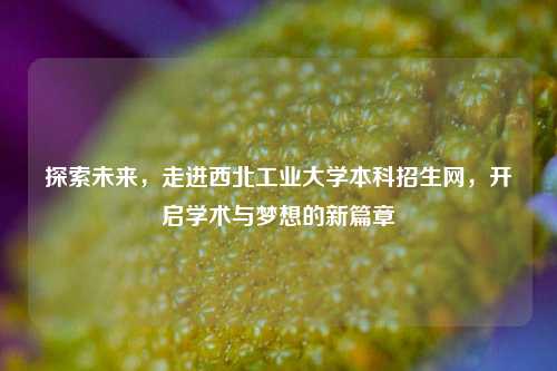 探索未来，走进西北工业大学本科招生网，开启学术与梦想的新篇章