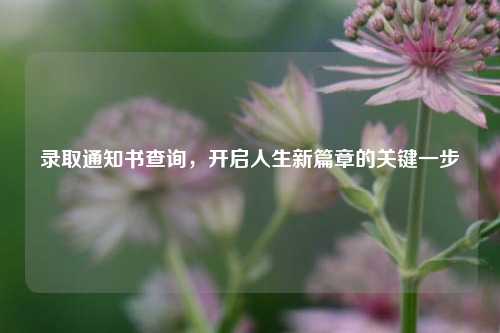 录取通知书查询，开启人生新篇章的关键一步