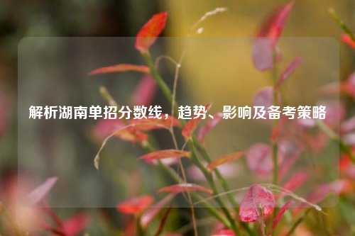 解析湖南单招分数线，趋势、影响及备考策略