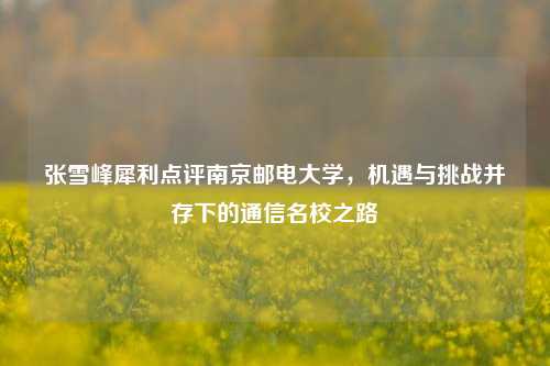 张雪峰犀利点评南京邮电大学，机遇与挑战并存下的通信名校之路