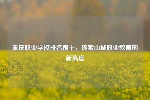 重庆职业学校排名前十，探索山城职业教育的新高度