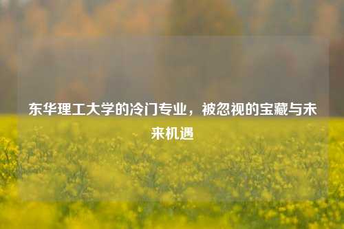 东华理工大学的冷门专业，被忽视的宝藏与未来机遇