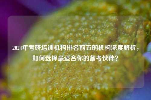 2024年考研培训机构排名前五的机构深度解析，如何选择最适合你的备考伙伴？