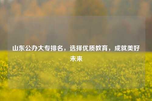 山东公办大专排名，选择优质教育，成就美好未来