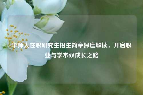 华师大在职研究生招生简章深度解读，开启职业与学术双成长之路